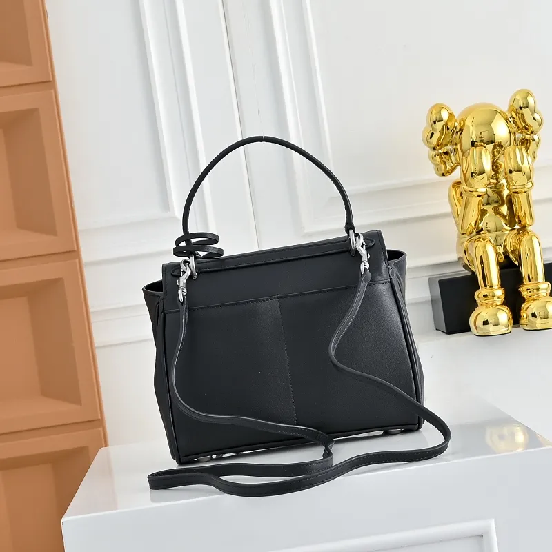 All Categories Balenciaga Women's Bags (Balenciaga) Balenciaga Original Order 6668