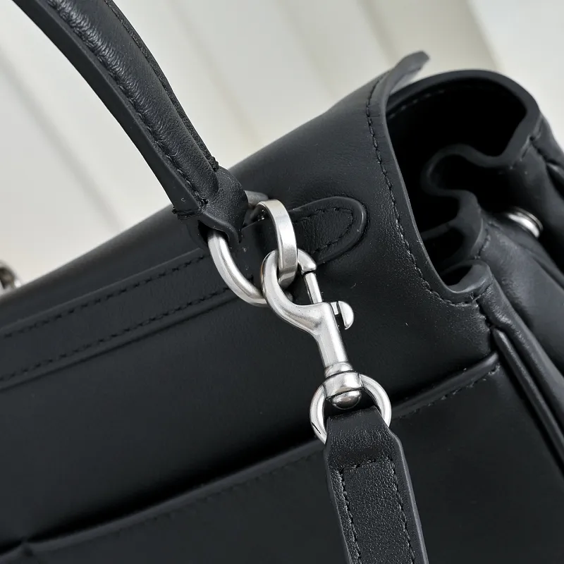 All Categories Balenciaga Women's Bags (Balenciaga) Balenciaga Original Order 6668