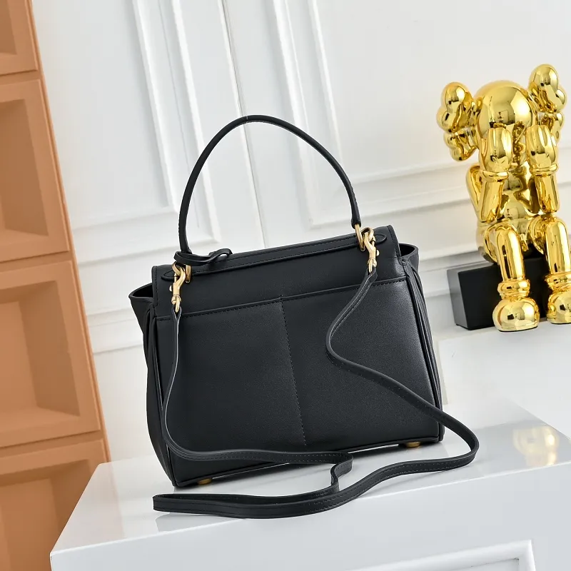 All Categories Balenciaga Women's Bags (Balenciaga) Balenciaga Original Order 6638