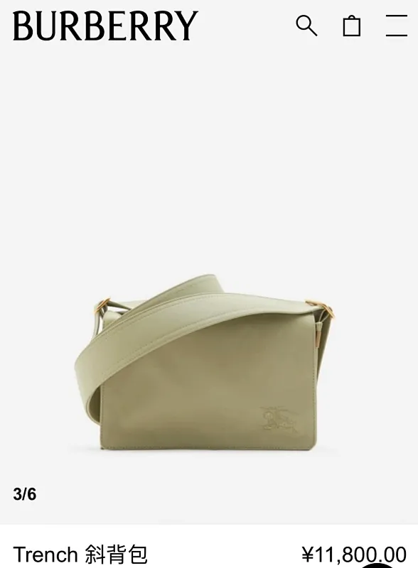 All Categories Burberry Women's Bags (Burberry) Burberry Original Order 3015