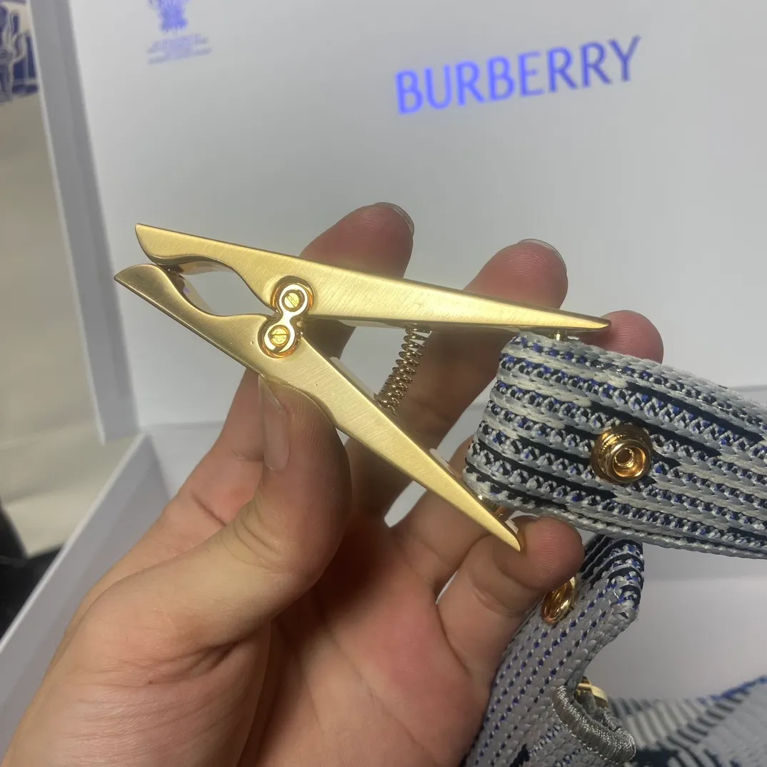 All Categories Burberry Women's Bags (Burberry) Burberry Original Order 0421