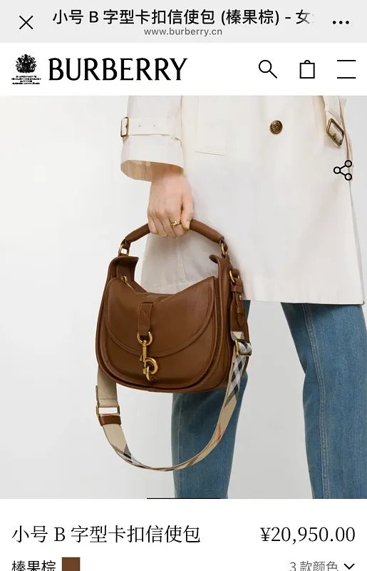 All Categories Burberry Women's Bags (Burberry) Burberry Special 1201