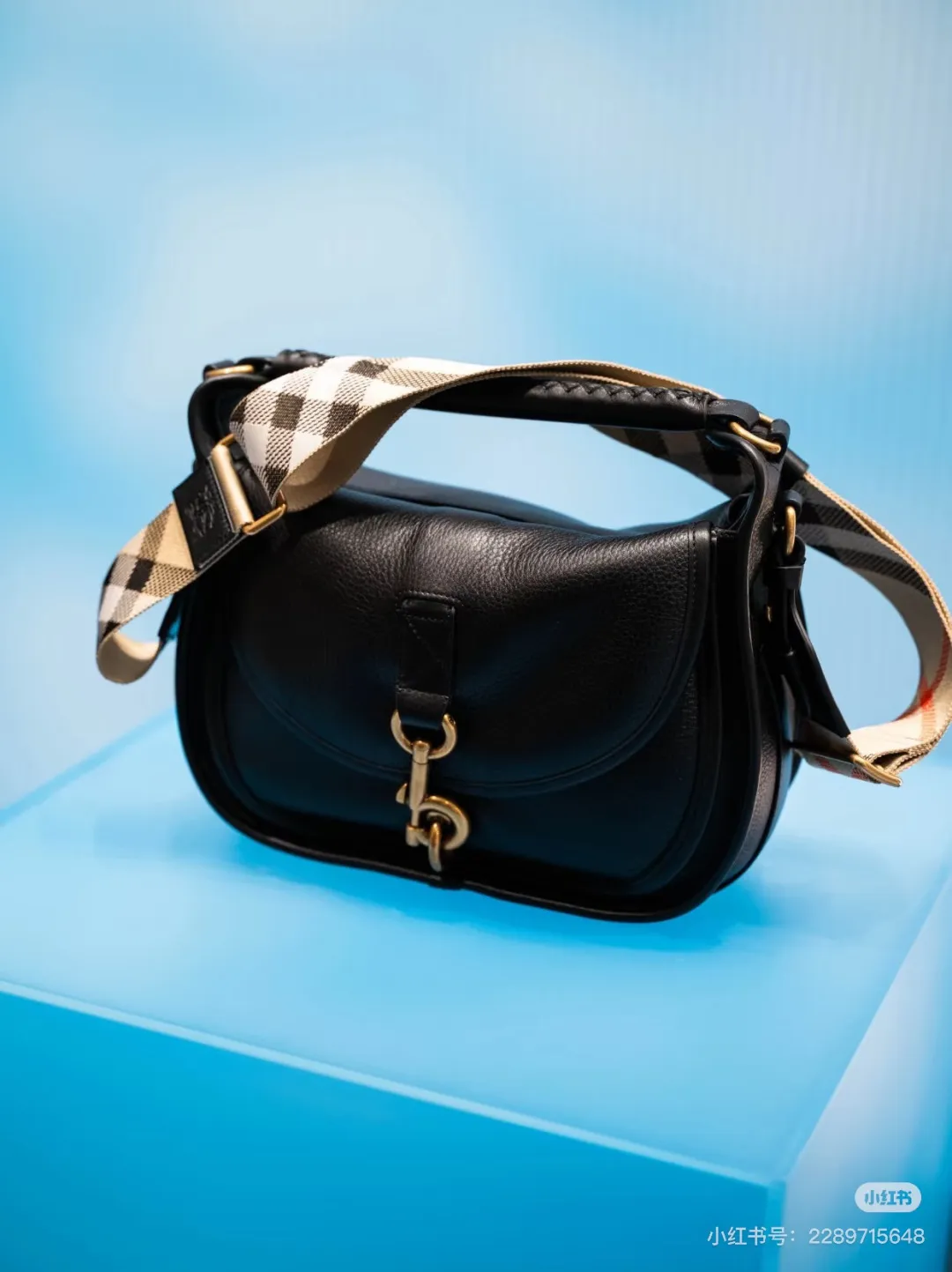 All Categories Burberry Women's Bags (Burberry) Burberry Special 1201