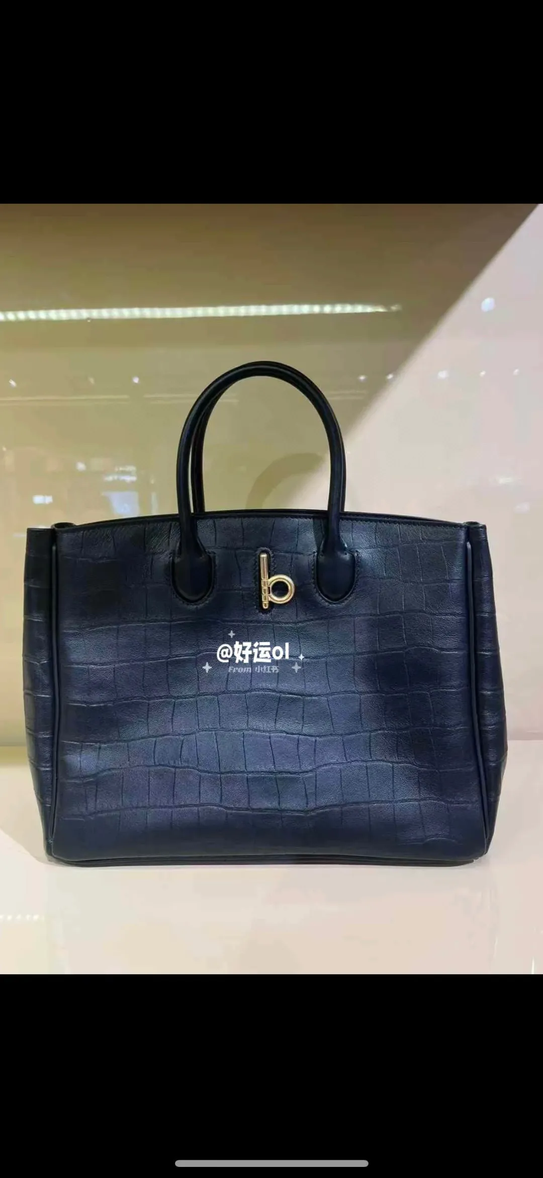 All Categories Burberry Women's Bags (Burberry) Burberry Original Order 4011