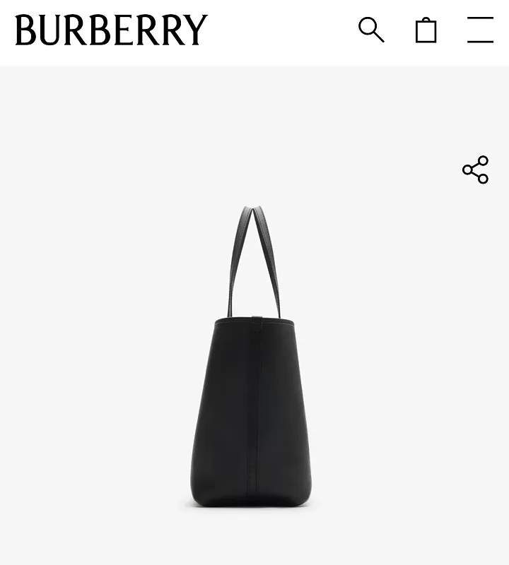 All Categories Burberry Women's Bags (Burberry) Burberry Special 2221