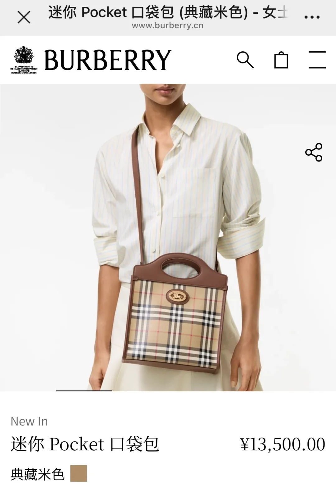 All Categories Burberry Women's Bags (Burberry) Burberry Special 442160