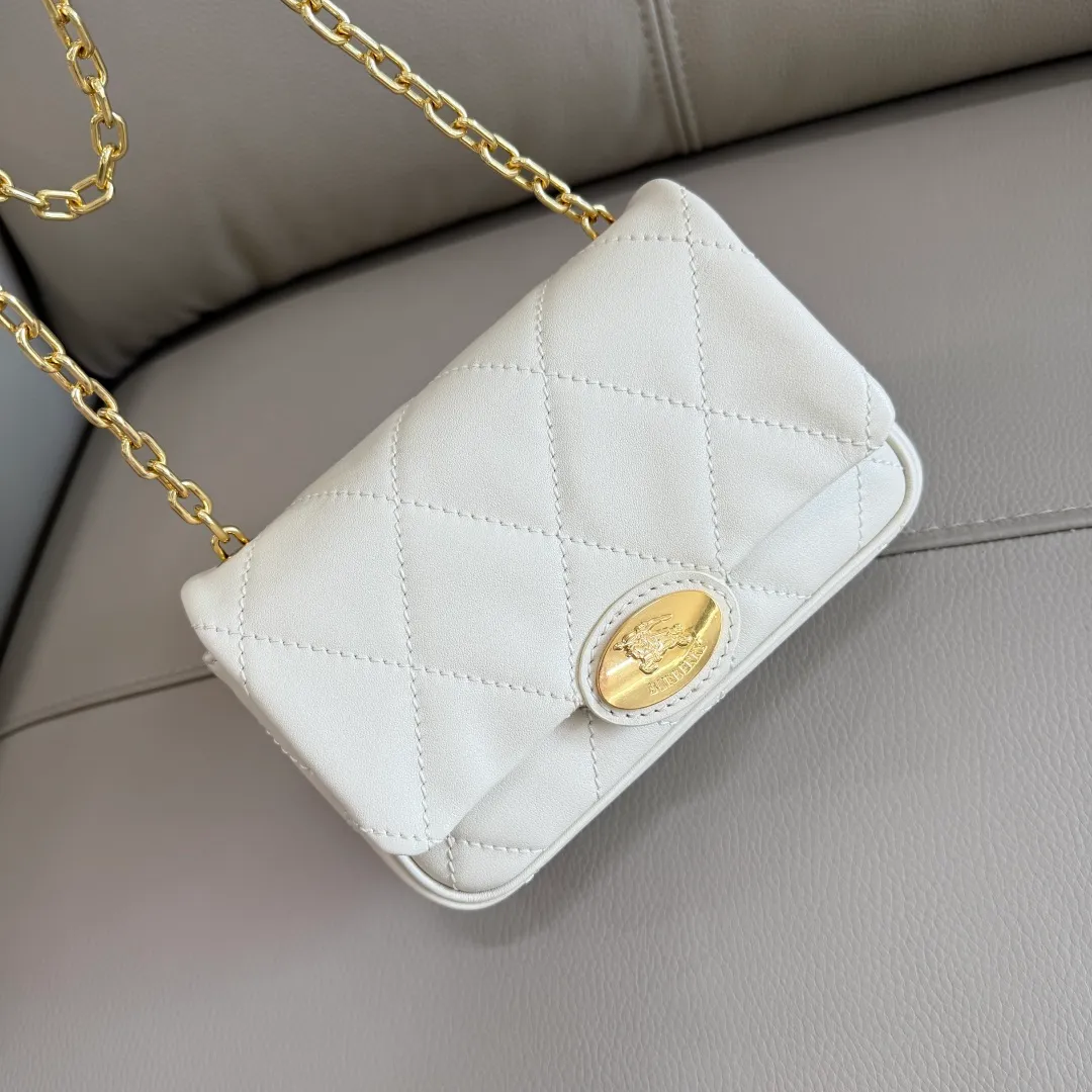 All Categories Burberry Women's Bags (Burberry) Burberry Special 6411