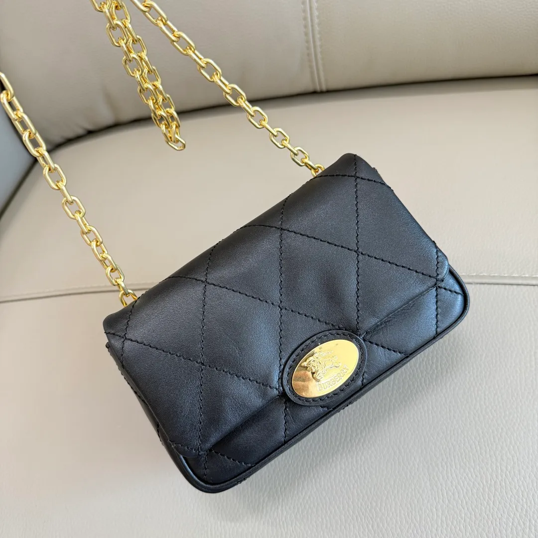 All Categories Burberry Women's Bags (Burberry) Burberry Special 6411