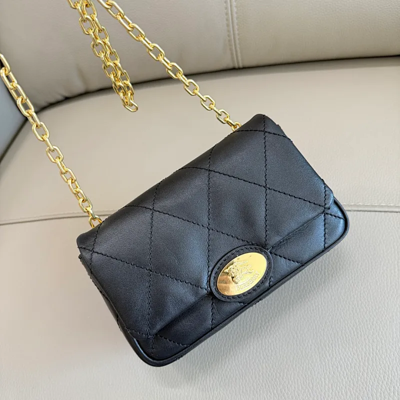 All Categories Burberry Women's Bags (Burberry) Burberry Special 6411