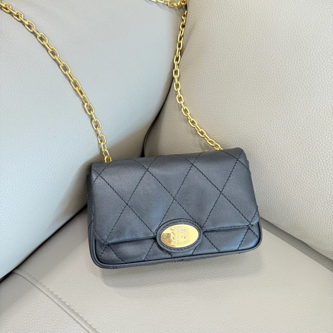 All Categories Burberry Women's Bags (Burberry) Burberry Special 6411