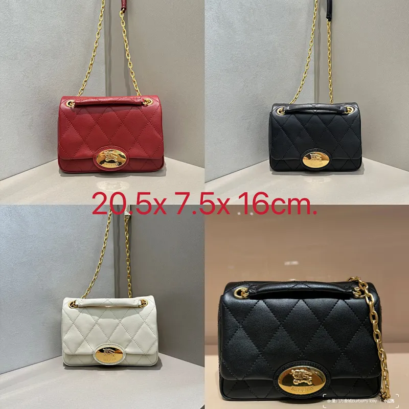All Categories Burberry Women's Bags (Burberry) Burberry Special 6411