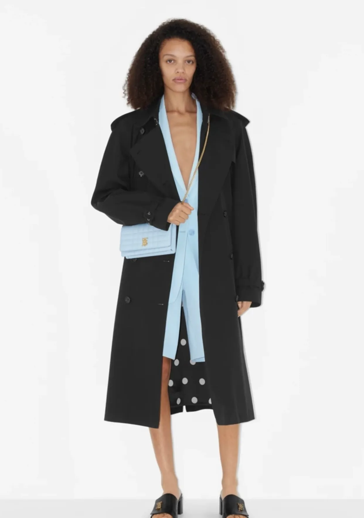 All Categories Burberry Women's Bags Burberry Original Order 1441