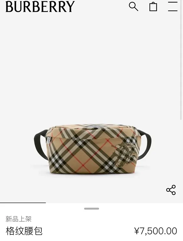 All categories Burberry women's bags (Burberry) Burberry 7801
