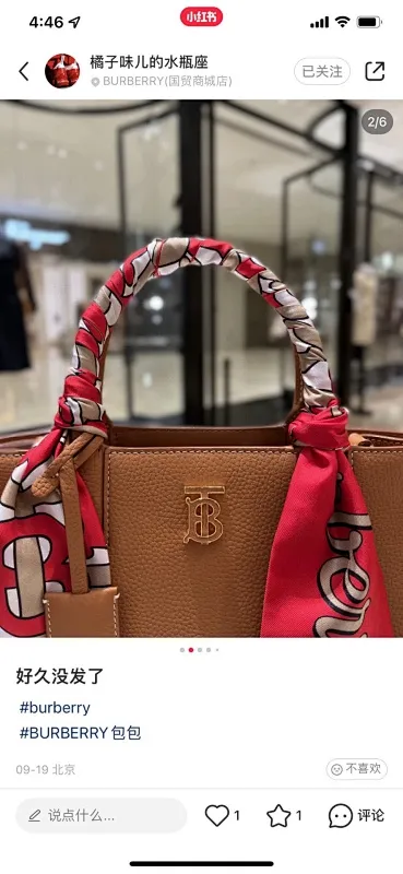 All Categories Burberry Women's Bags Burberry Original Order 0441