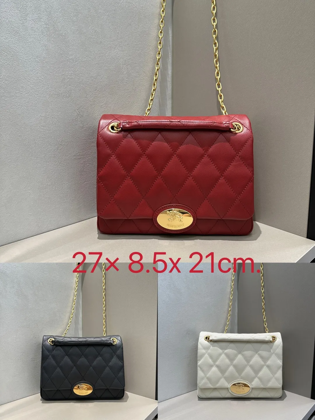 All Categories Burberry Women's Bags (Burberry) Burberry Special 6411
