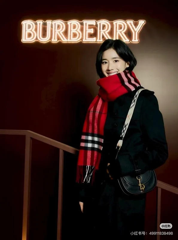 All Categories Burberry Women's Bags (Burberry) Burberry Special 6931