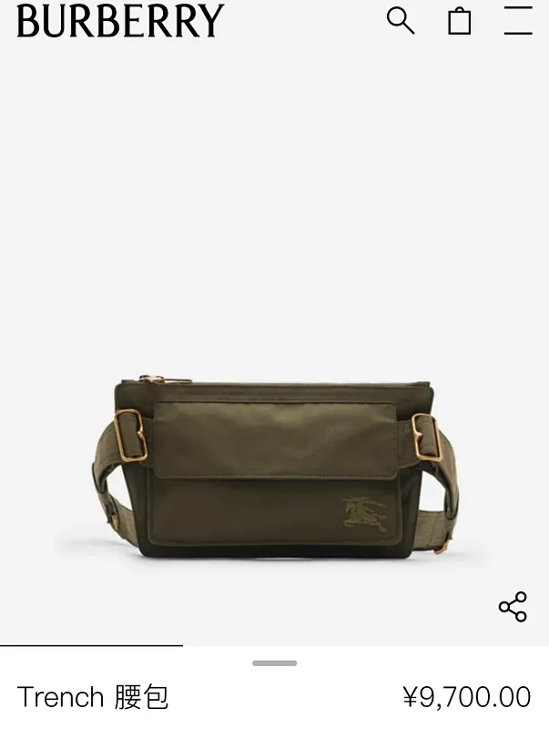 All Categories Burberry Women's Bags Burberry Original Order 335