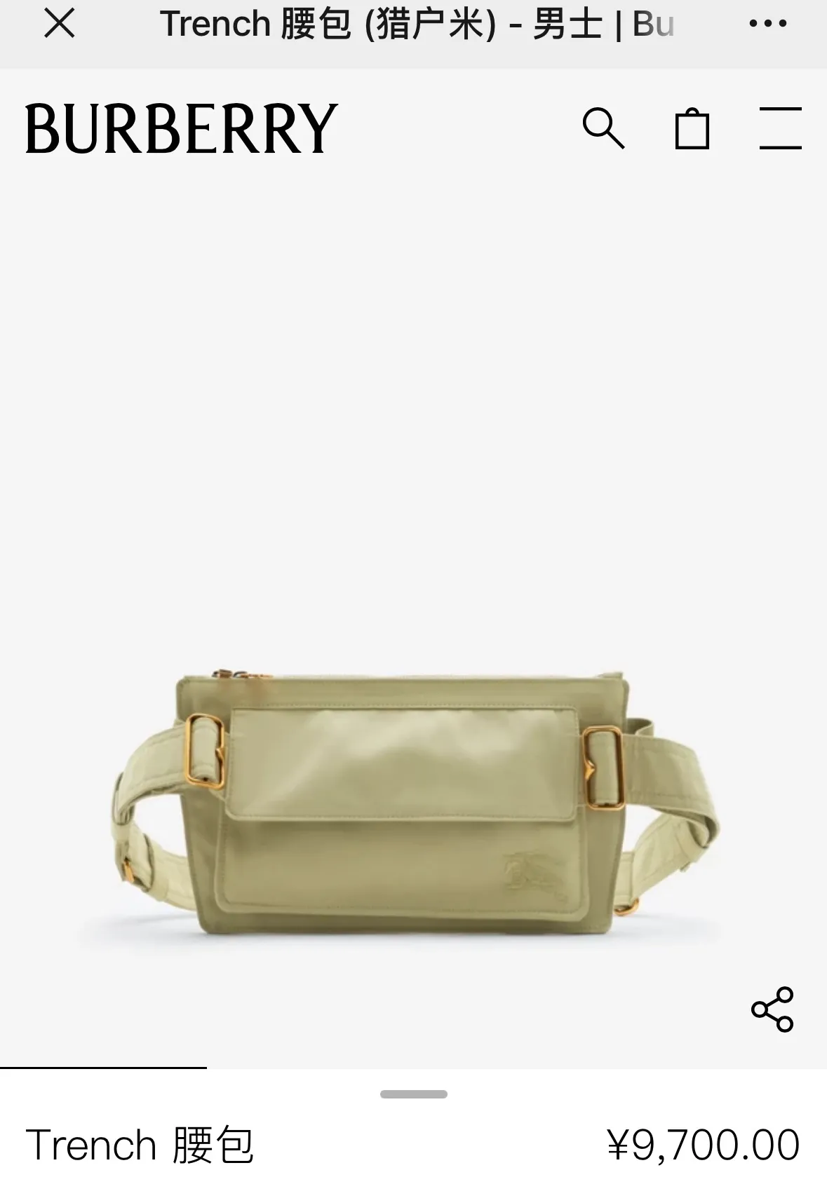 All Categories Burberry Women's Bags Burberry Original Order 335