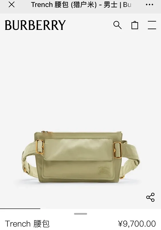 All Categories Burberry Women's Bags Burberry Original Order 335