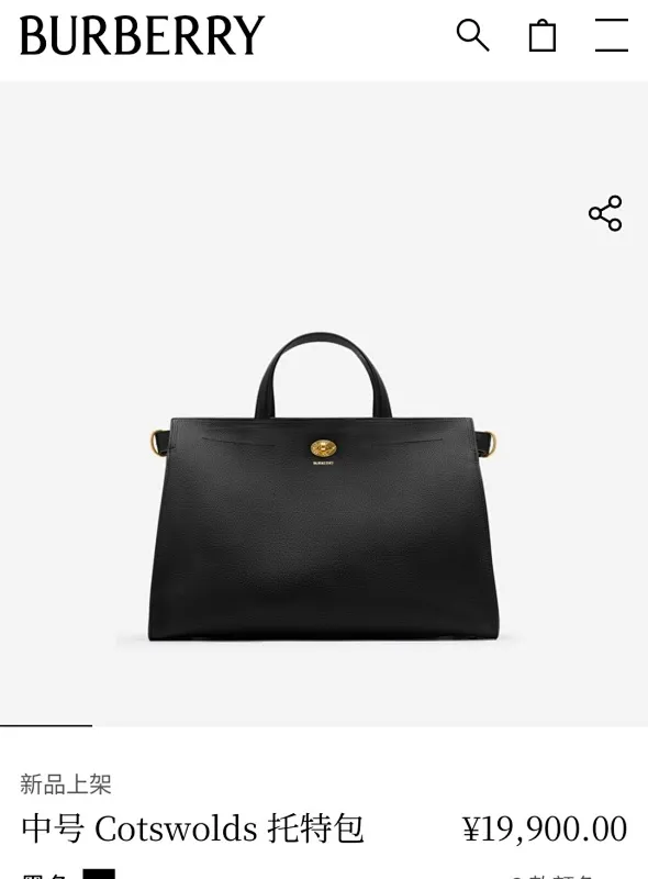 All Categories Burberry Women's Bags Burberry Original Order 3371