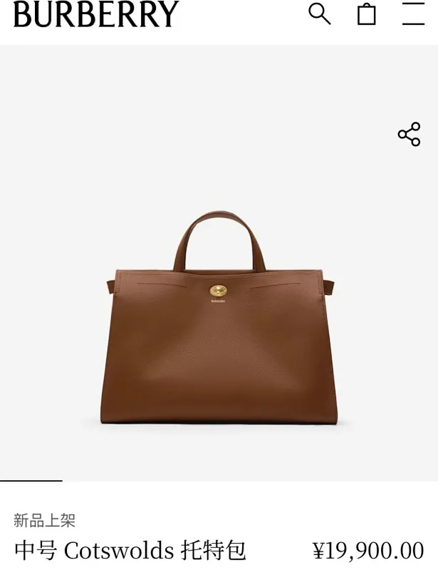 All Categories Burberry Women's Bags Burberry Original Order 3371
