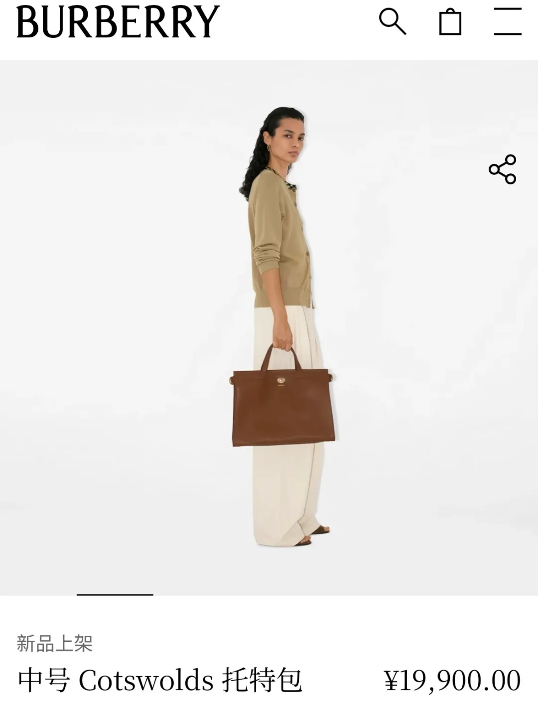 All Categories Burberry Women's Bags Burberry Original Order 3371
