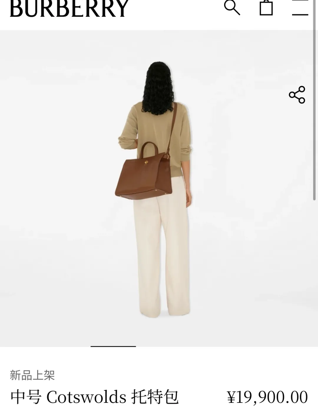 All Categories Burberry Women's Bags Burberry Original Order 3371