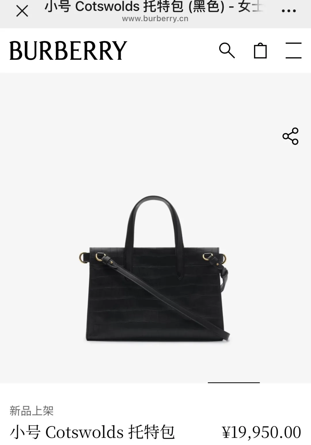 All Categories Burberry Women's Bags (Burberry) Burberry Special 3431