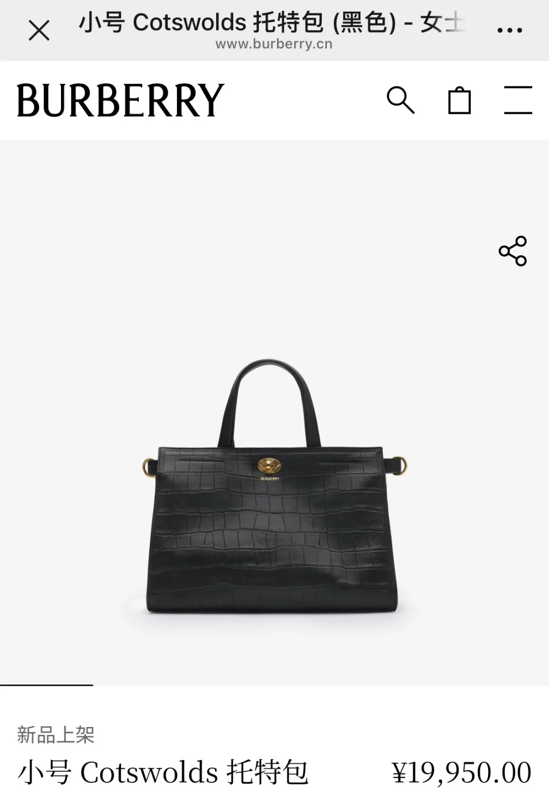 All Categories Burberry Women's Bags (Burberry) Burberry Special 3431