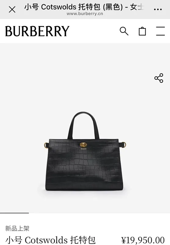 All Categories Burberry Women's Bags (Burberry) Burberry Special 3431