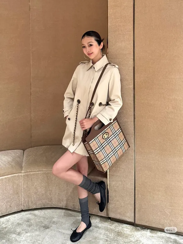 All Categories Burberry Women's Bags (Burberry) Burberry Special 4321