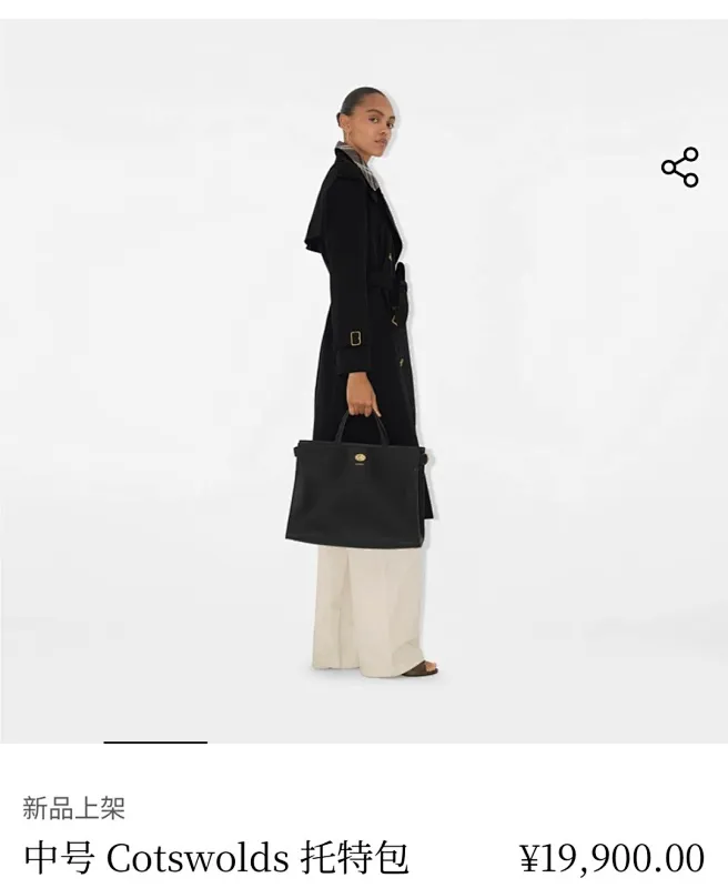 All Categories Burberry Women's Bags Burberry Original Order 3371