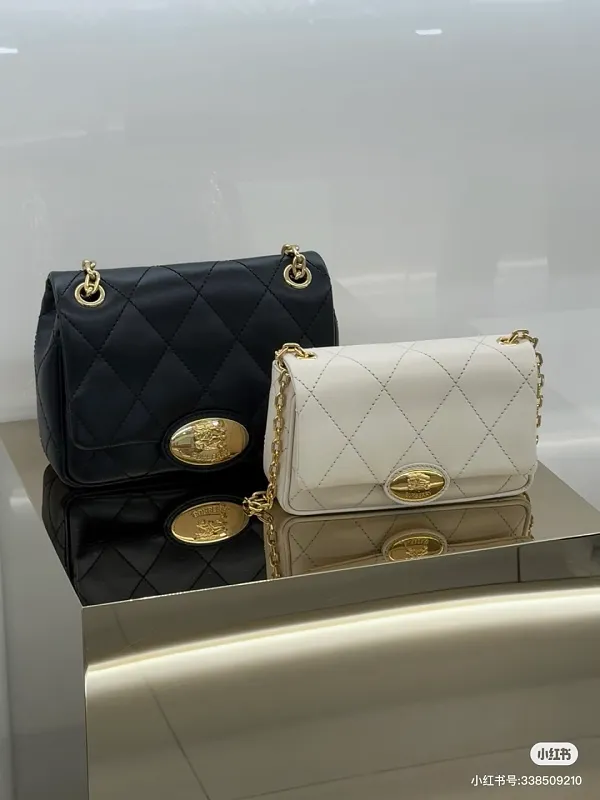 All Categories Burberry Women's Bags (Burberry) Burberry Special 6411