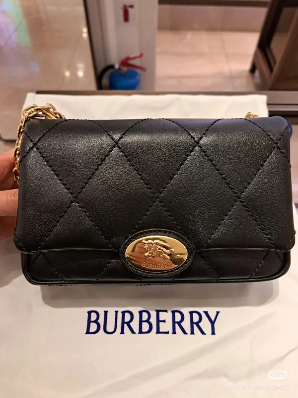 All Categories Burberry Women's Bags (Burberry) Burberry Special 6411