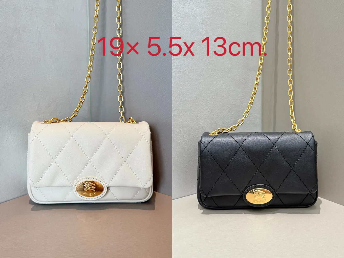 All Categories Burberry Women's Bags (Burberry) Burberry Special 6411