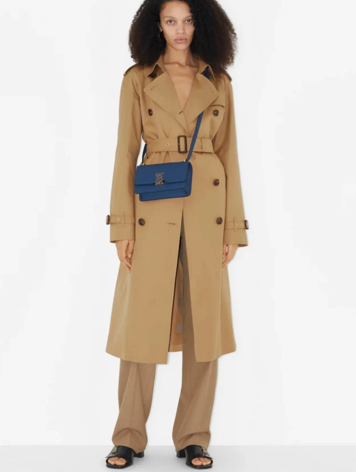 All categories Burberry women's bags (Burberry) Burberry original order 630456