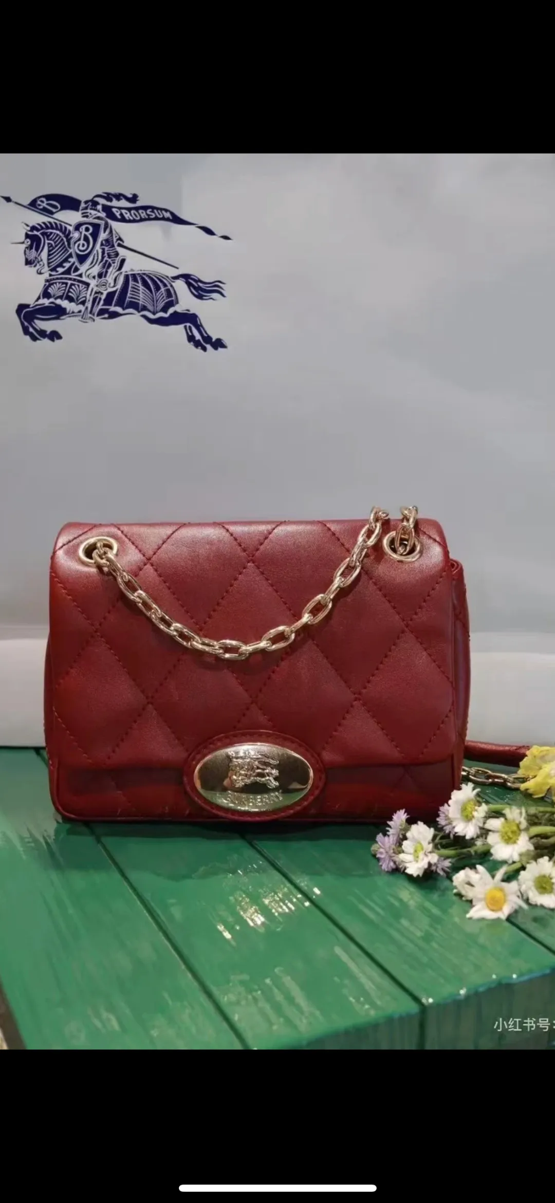 All Categories Burberry Women's Bags (Burberry) Burberry Special 2641