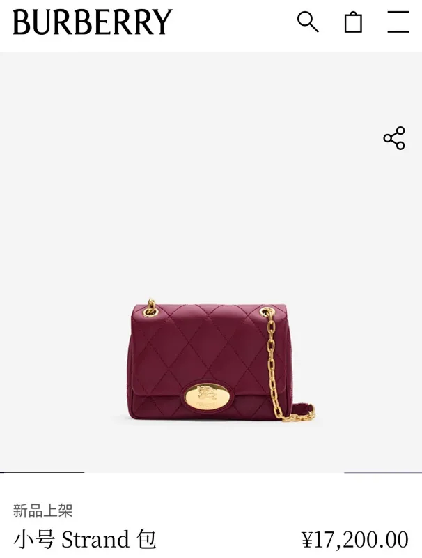 All Categories Burberry Women's Bags (Burberry) Burberry Special 2641