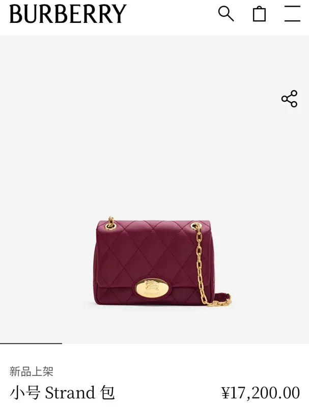 All Categories Burberry Women's Bags (Burberry) Burberry Special 2641