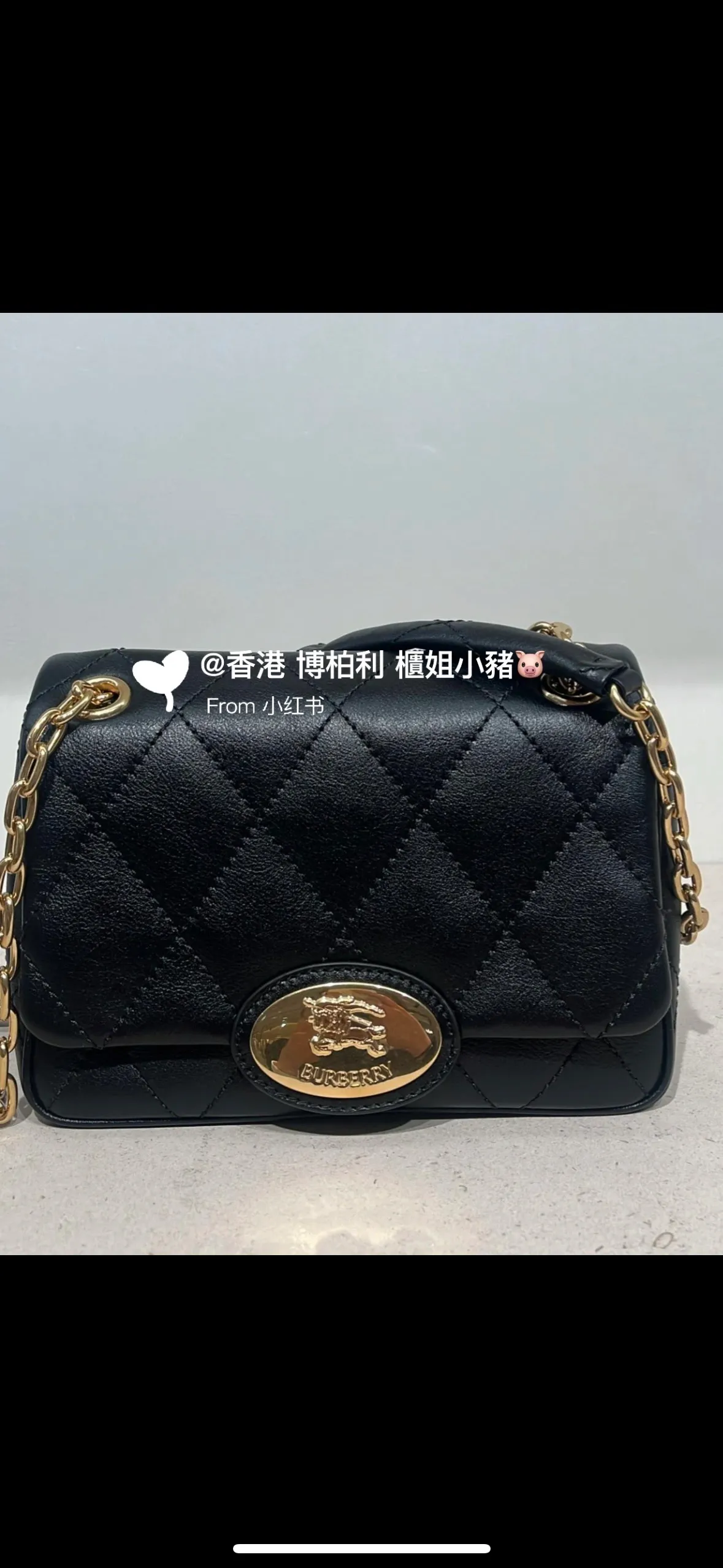 All Categories Burberry Women's Bags (Burberry) Burberry Special 2641
