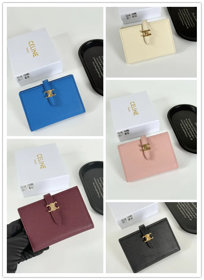 All Categories Celine Wallet (Celine) Celine B517