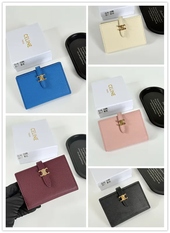 All Categories Celine Wallet (Celine) Celine B517