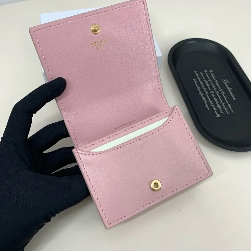 All categories Celine wallet (Celine) Celine 3867