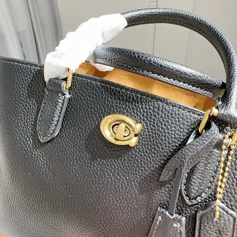 All Categories Celine Women's Bags (Celine) Celine CE732
