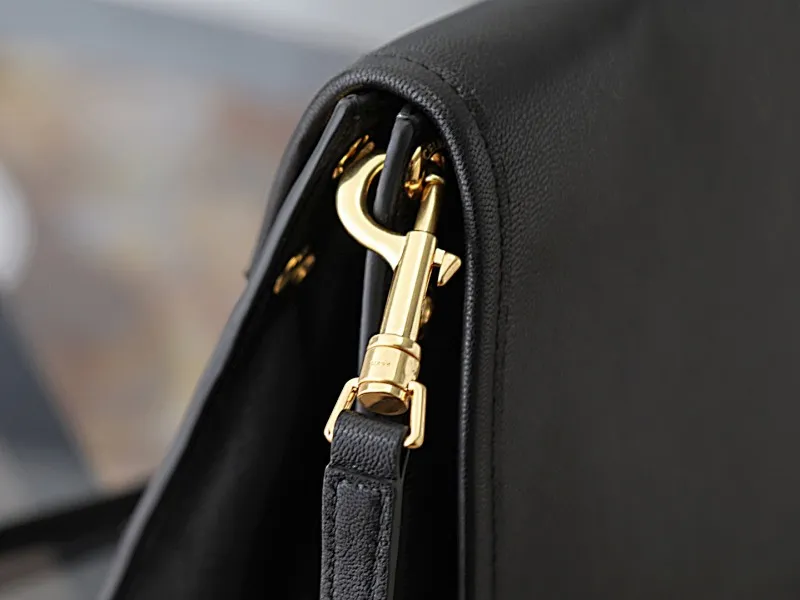 All Categories Celine Women's Bags (Celine) Celine Special 123632