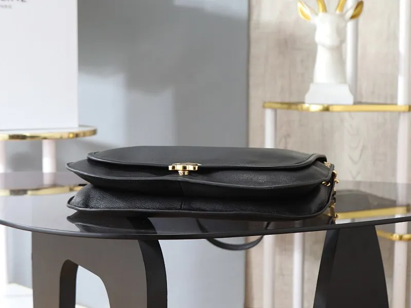 All Categories Celine Women's Bags (Celine) Celine Special 123632