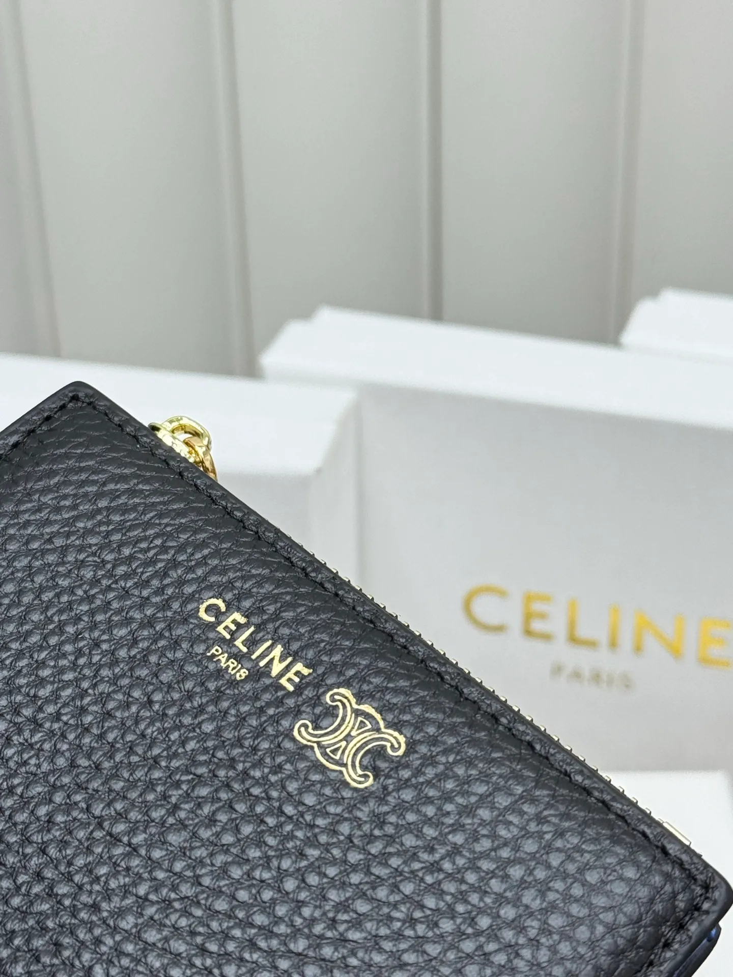 All Categories Celine Women's Bags (Celine) Celine L100254