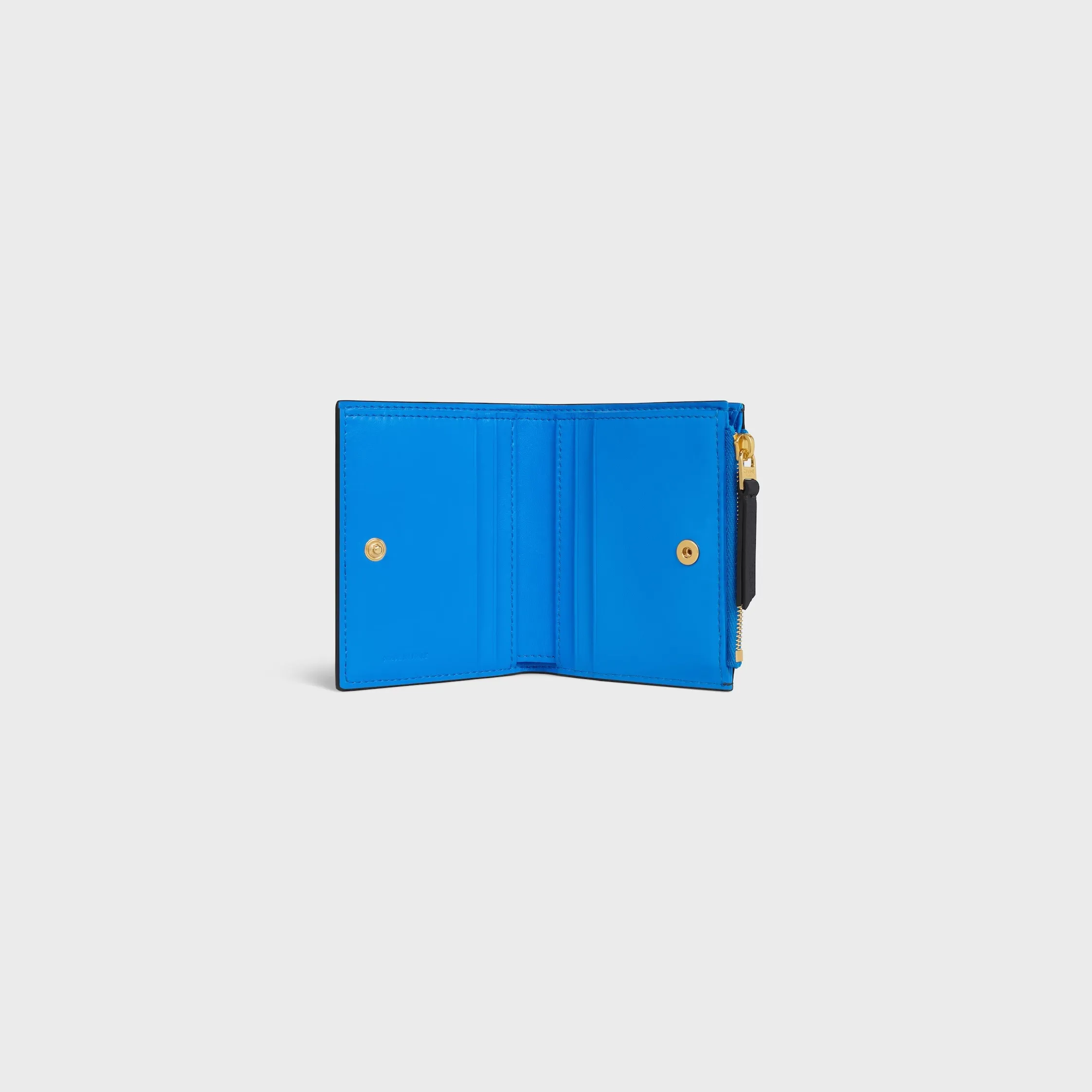 All Categories Celine Women's Bags (Celine) Celine L100254