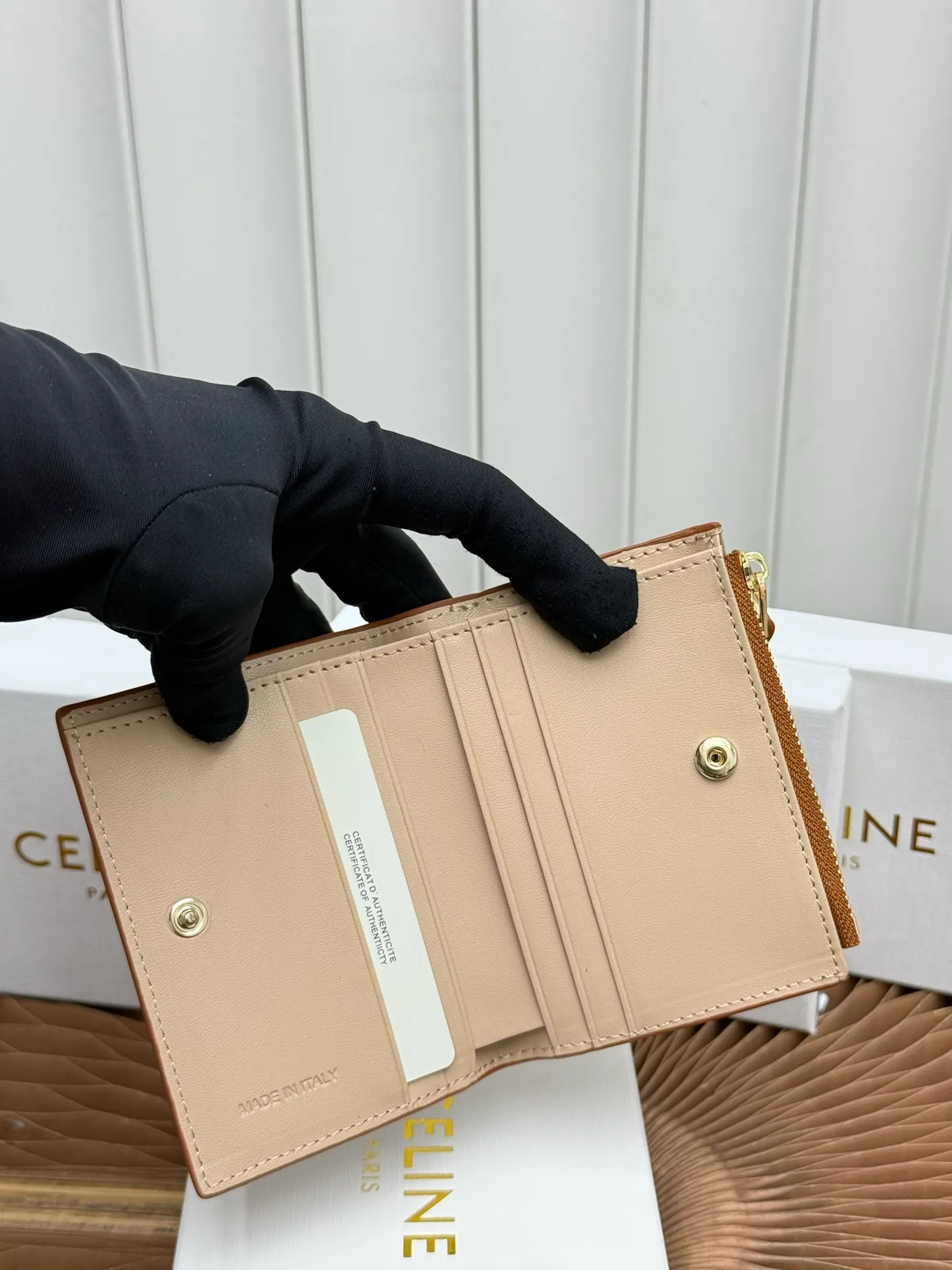 All Categories Celine Women's Bags (Celine) Celine L100254