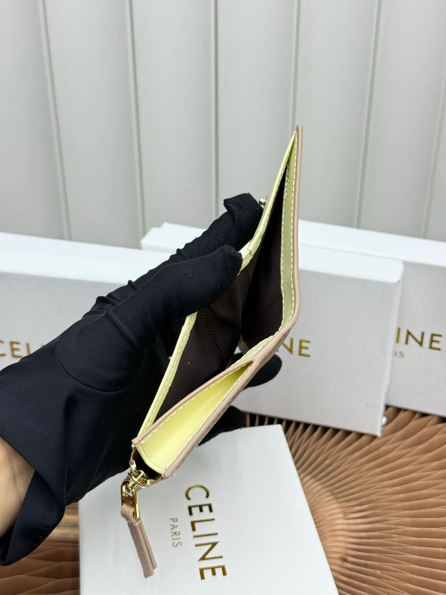 All Categories Celine Women's Bags (Celine) Celine L100254